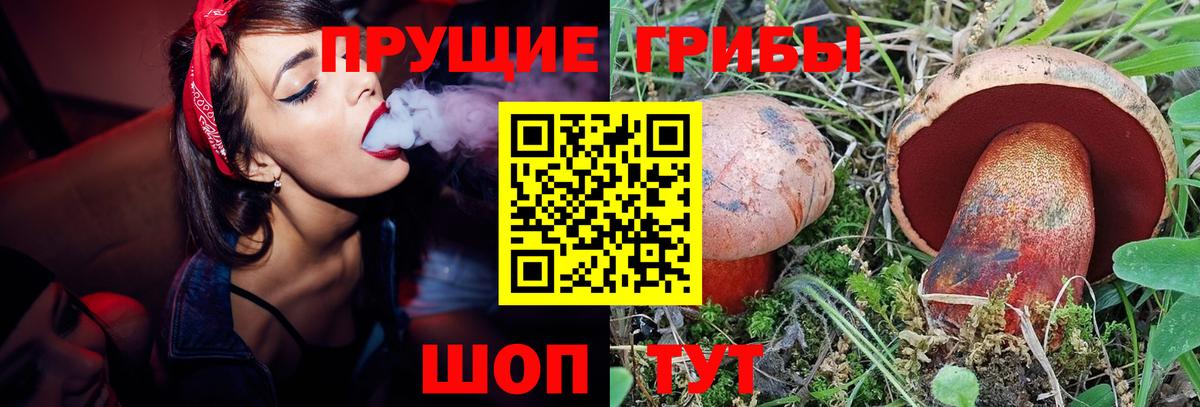 Псилоцибиновые грибы Psilocybine cubensis Туапсе